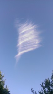 Cloud from Paul