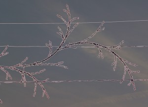 Christmas LIghts 2
