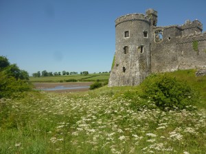 P1070466