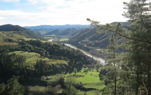 Whanganui_River[1]